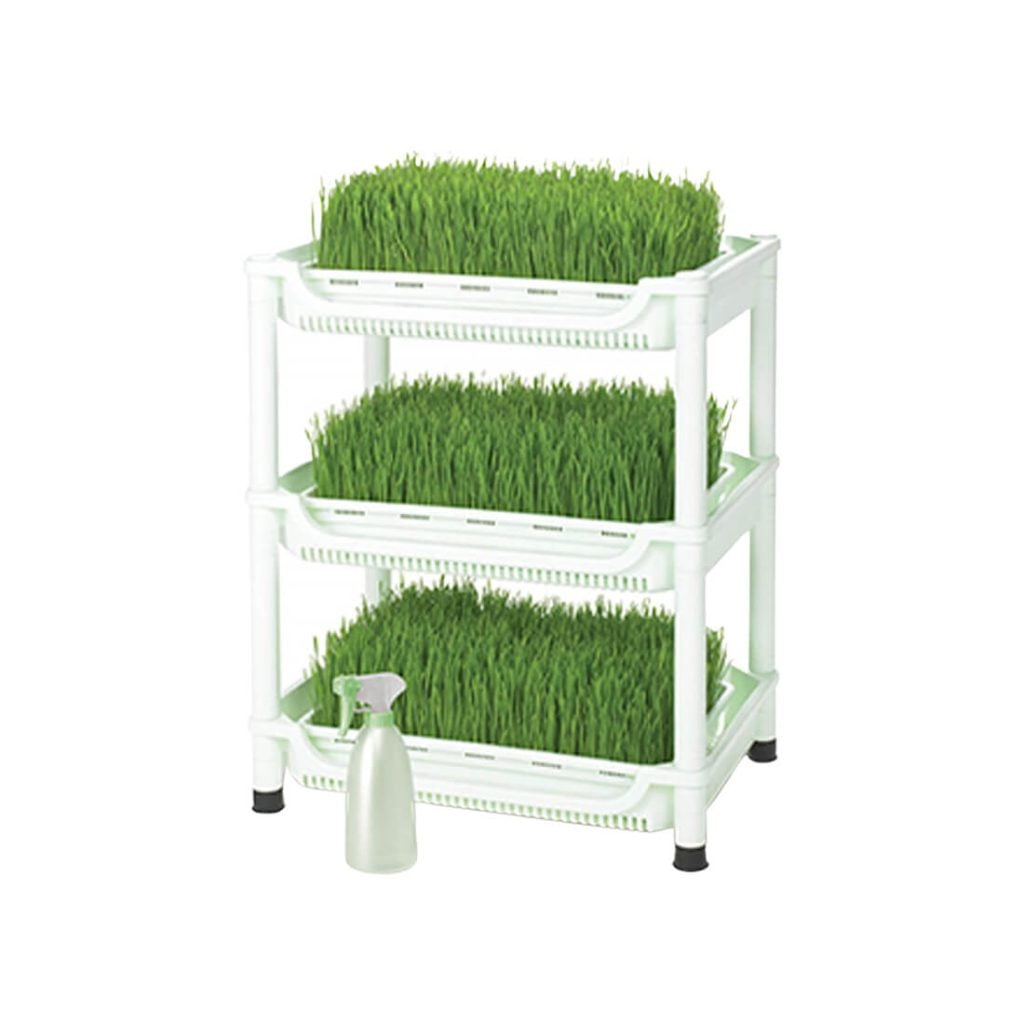 Sproutman's